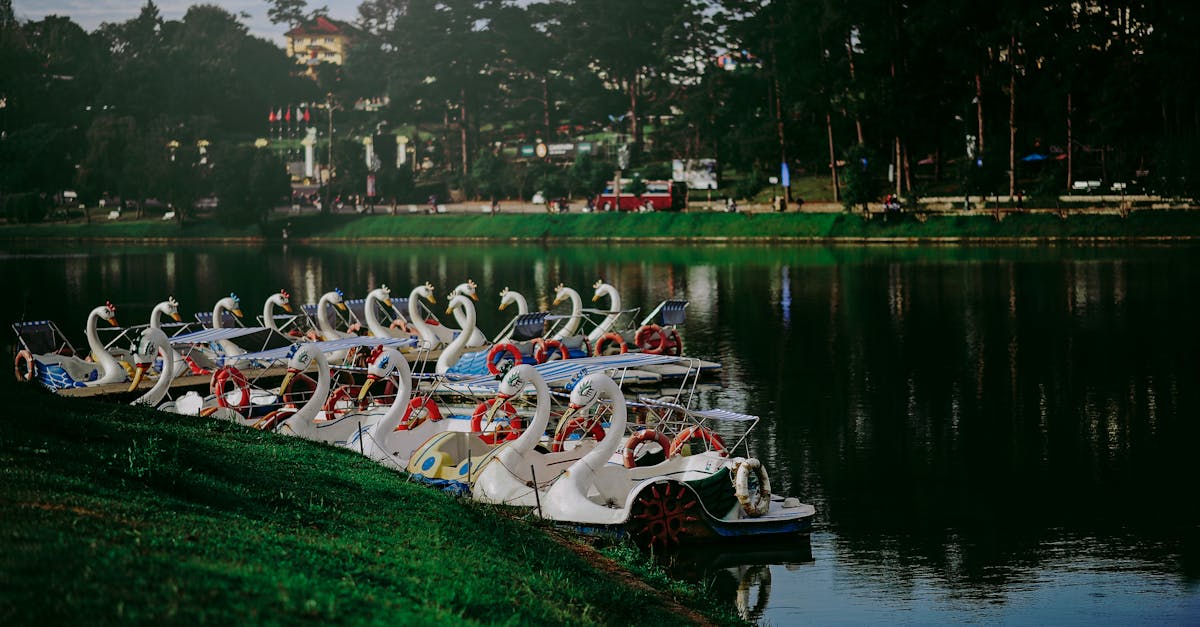 découvrez notre service de location qui vous propose une vaste gamme d'options, que ce soit pour des voitures, des appartements ou d'autres équipements. profitez de tarifs compétitifs et d'un service de qualité pour répondre à tous vos besoins de location.