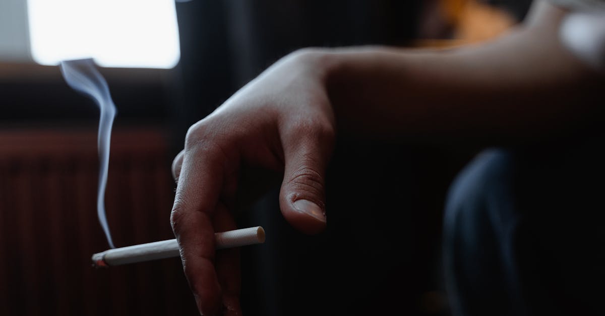 découvrez toutes les informations essentielles sur la termination : les procédures, les droits, et les implications légales. apprenez à gérer ce processus crucial dans votre vie professionnelle.